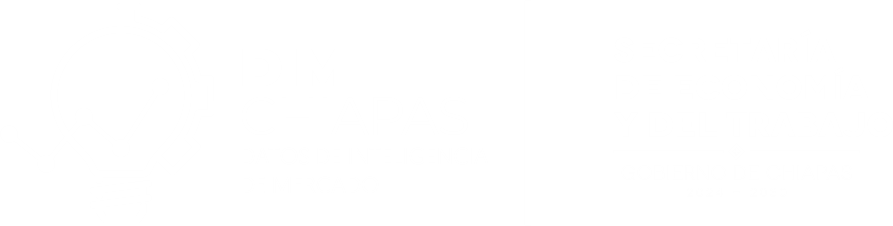 LOGODIM1