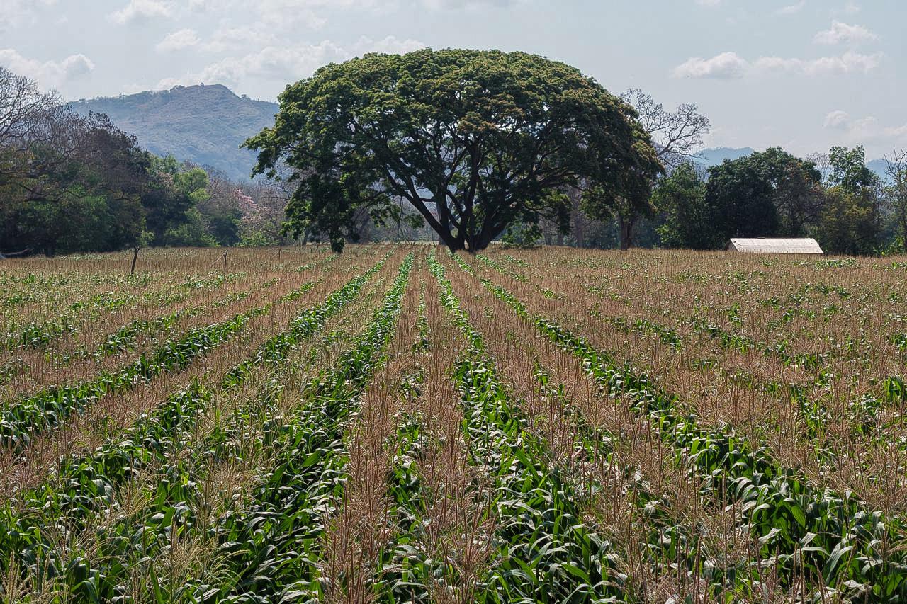 WhatsApp Image 2026-04-14 at 3.40.54 PM (7)